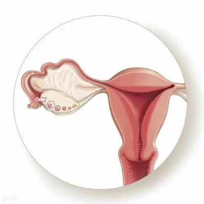 广州中医肿瘤科医院科普|这些因素会诱发子宫内膜癌一定要注意