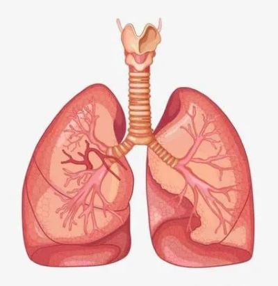 肿瘤老中医张忠民:肺癌晚期全身多部位转移,定要采取中医保守治疗