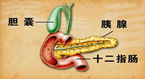 胰腺癌早期5大症状，6种水果预防胰腺癌