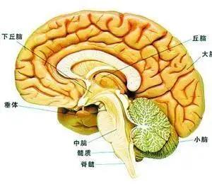 脑瘤有哪些早期症状 怎样早期发现